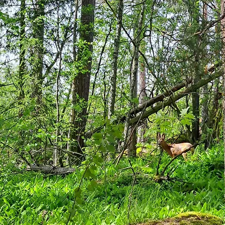 Kallahti View By Interhome Helsinki