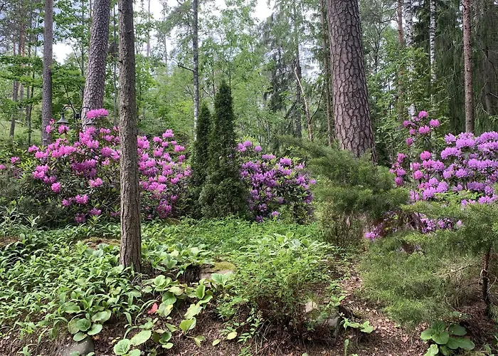 Kallahti View By Interhome * Helsinki