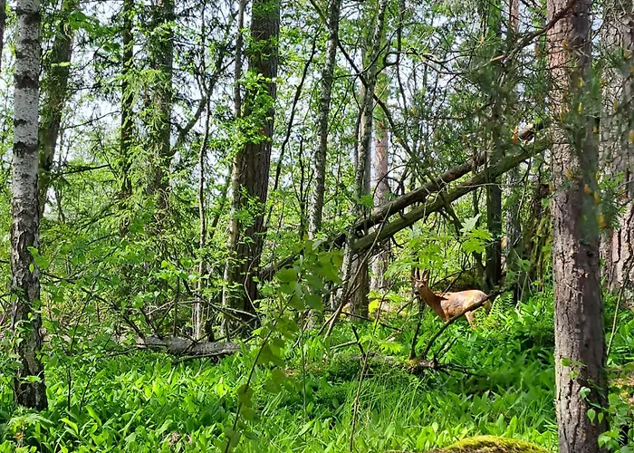 Kallahti View By Interhome Helsinki