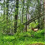 Kallahti View By Interhome Helsinki
