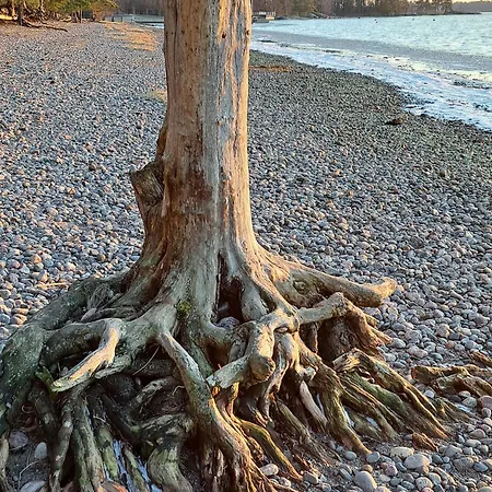 Kallahti View By Interhome Σπίτι διακοπών *