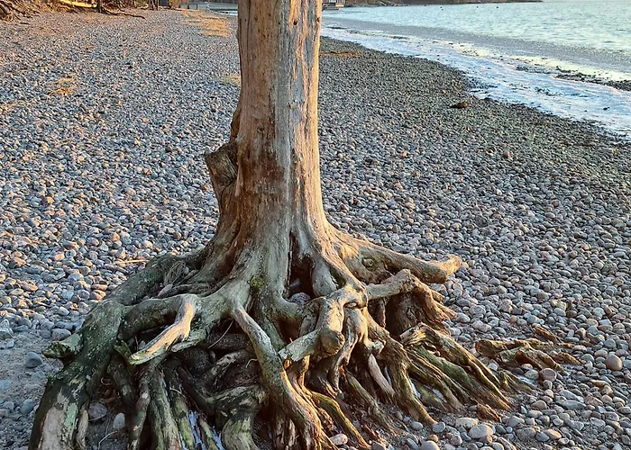 Kallahti View By Interhome 펜션 *